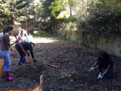 8018879796 82c417195d c 600 450