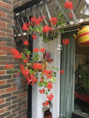 Hanging Flowers