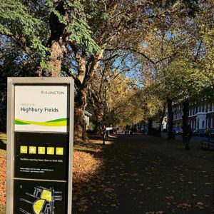 Highbury Fields In The Sun